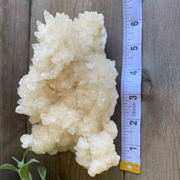 𝅺white Cave Calcite Cluster - Picture 4 of 6